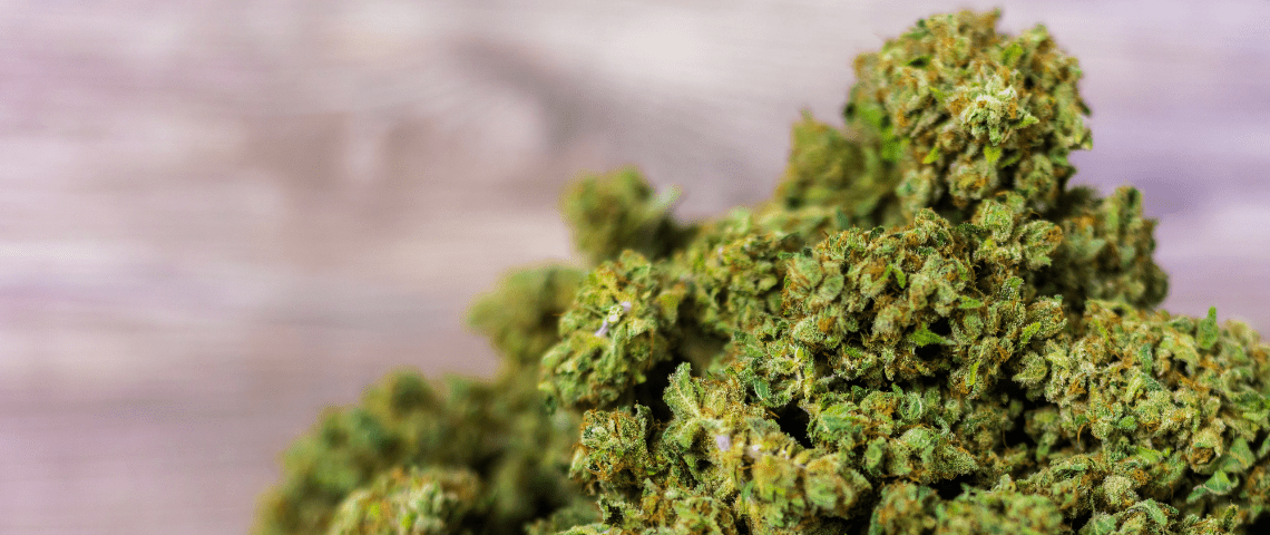 Quel CBD est fait pour vous ? Fleurs les usages