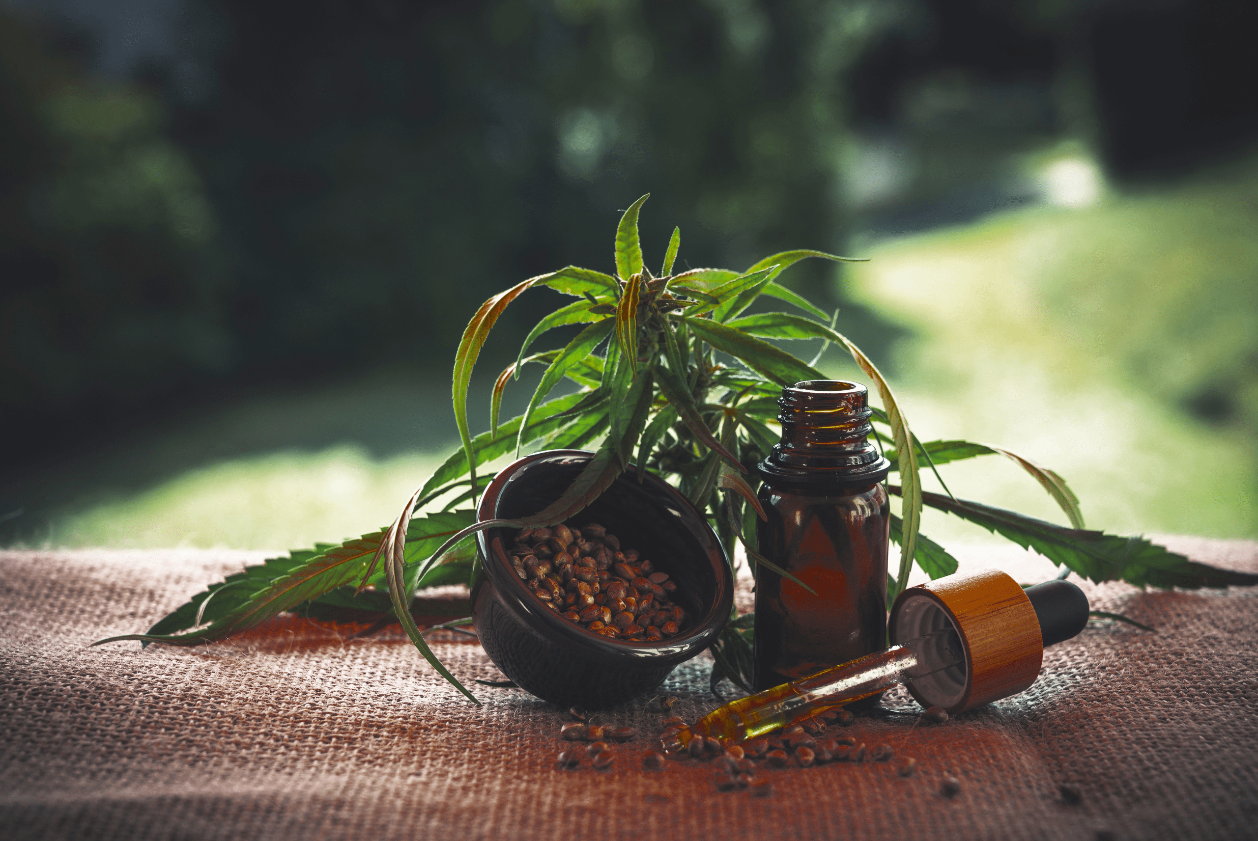 Les huiles externes de CBD Bio de Teuteu.fr, agriculteur français