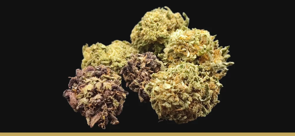 Mélange de grosses fleurs de CBD français, en agriculture Biologique