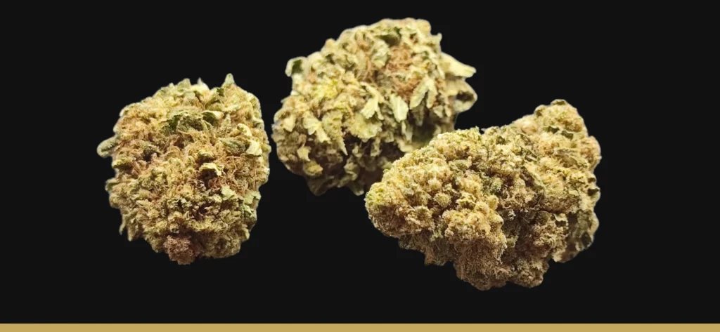 Mélange de moyennes fleurs de CBD français, en agriculture Biologique