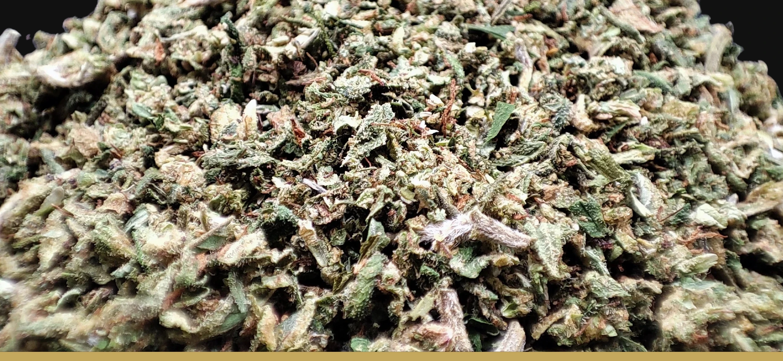 Trim de CBD français, en agriculture Biologique
